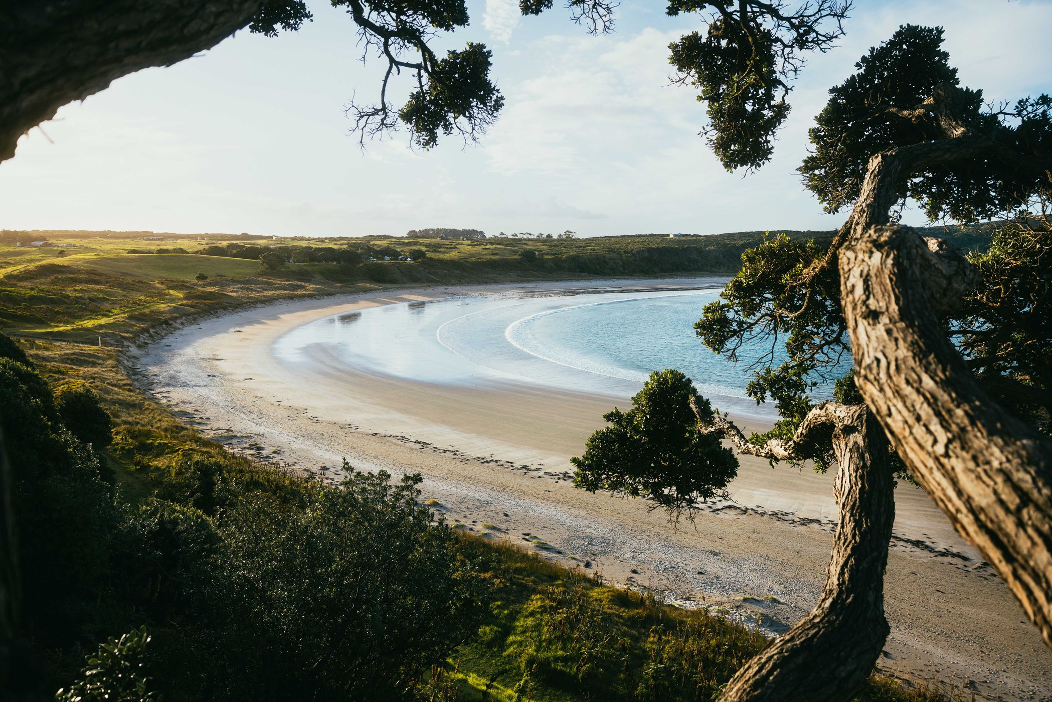 Maitai Bay, Northland, New Zealand