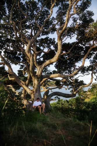 Maitai Bay, Northland