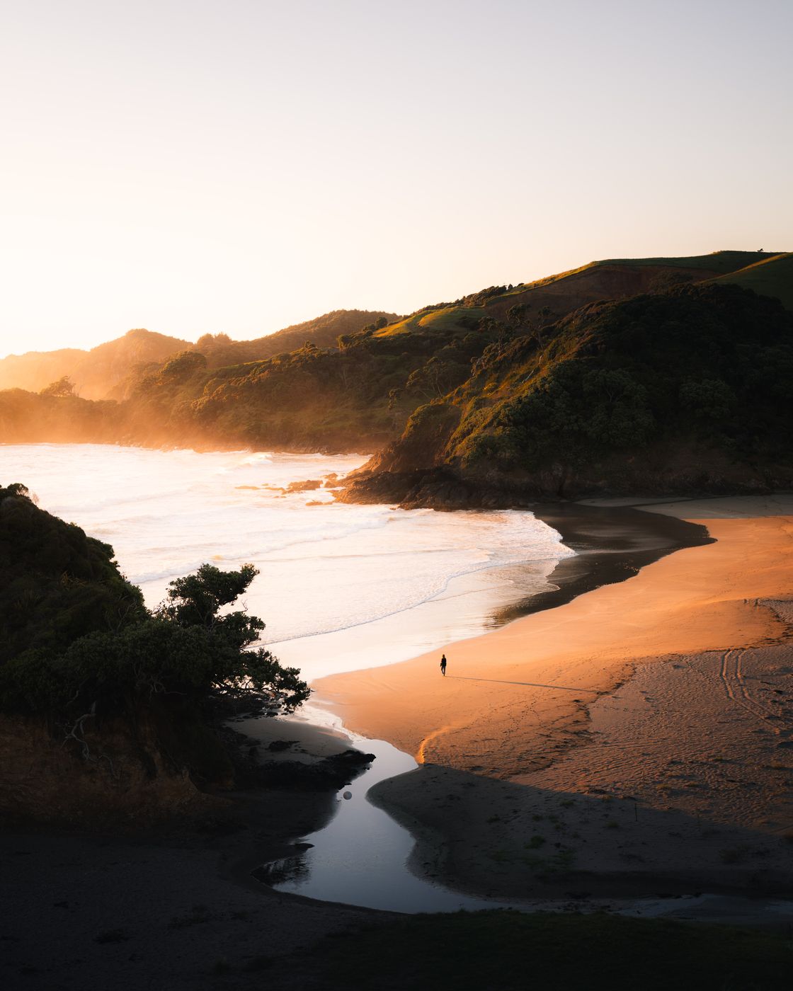 Major Beach Elliot Bay, New Zealand