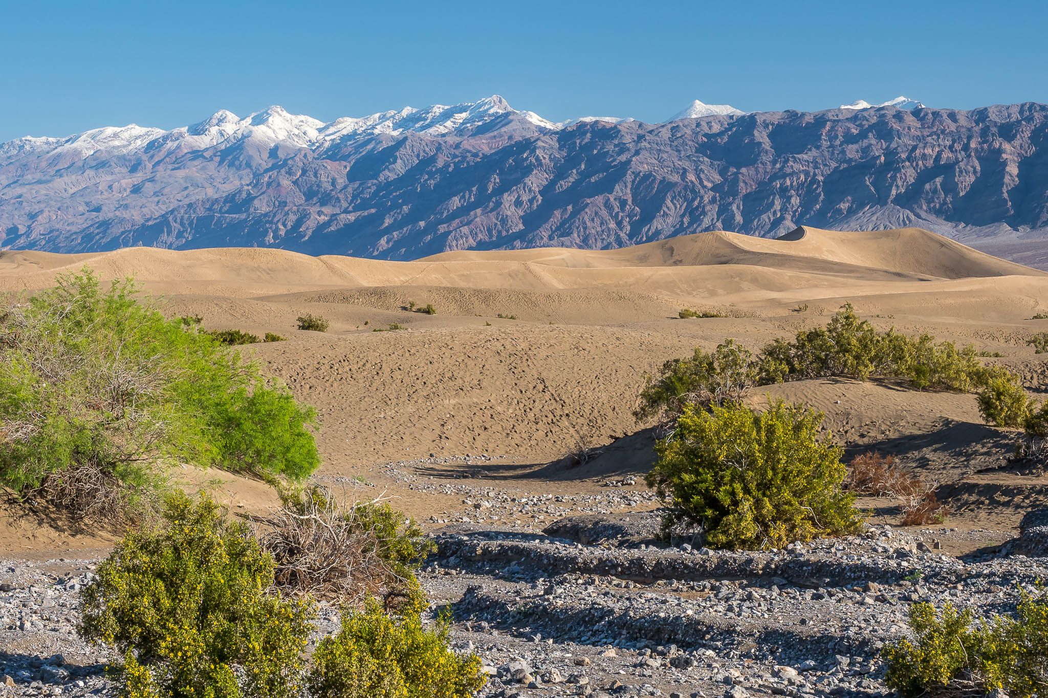 Mesquite Flat Sand Dunes, USA