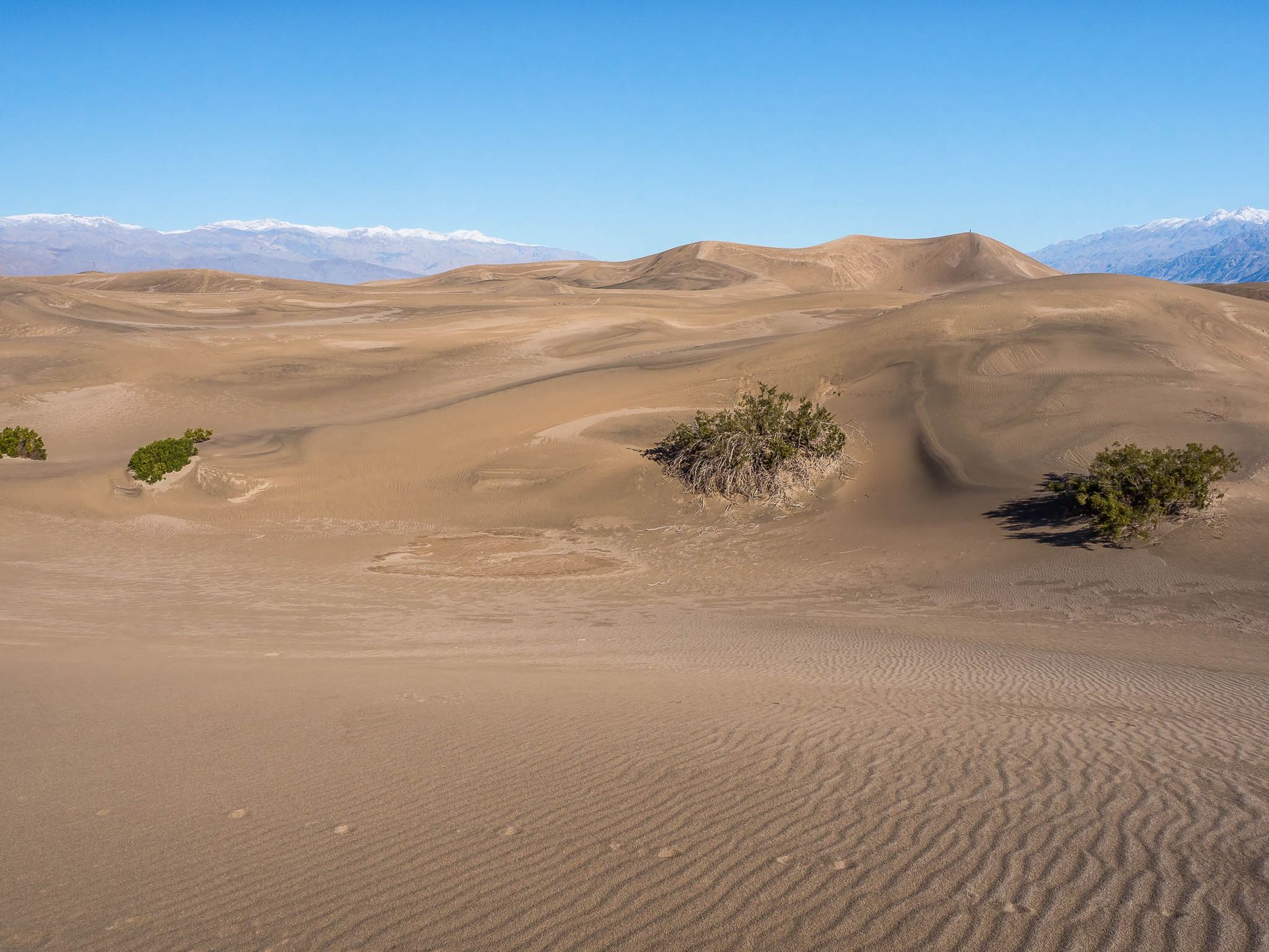 Mesquite Flat Sand Dunes, USA