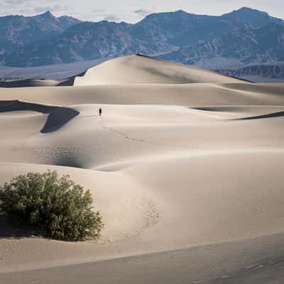 Mesquite Flat Sand Dunes, USA