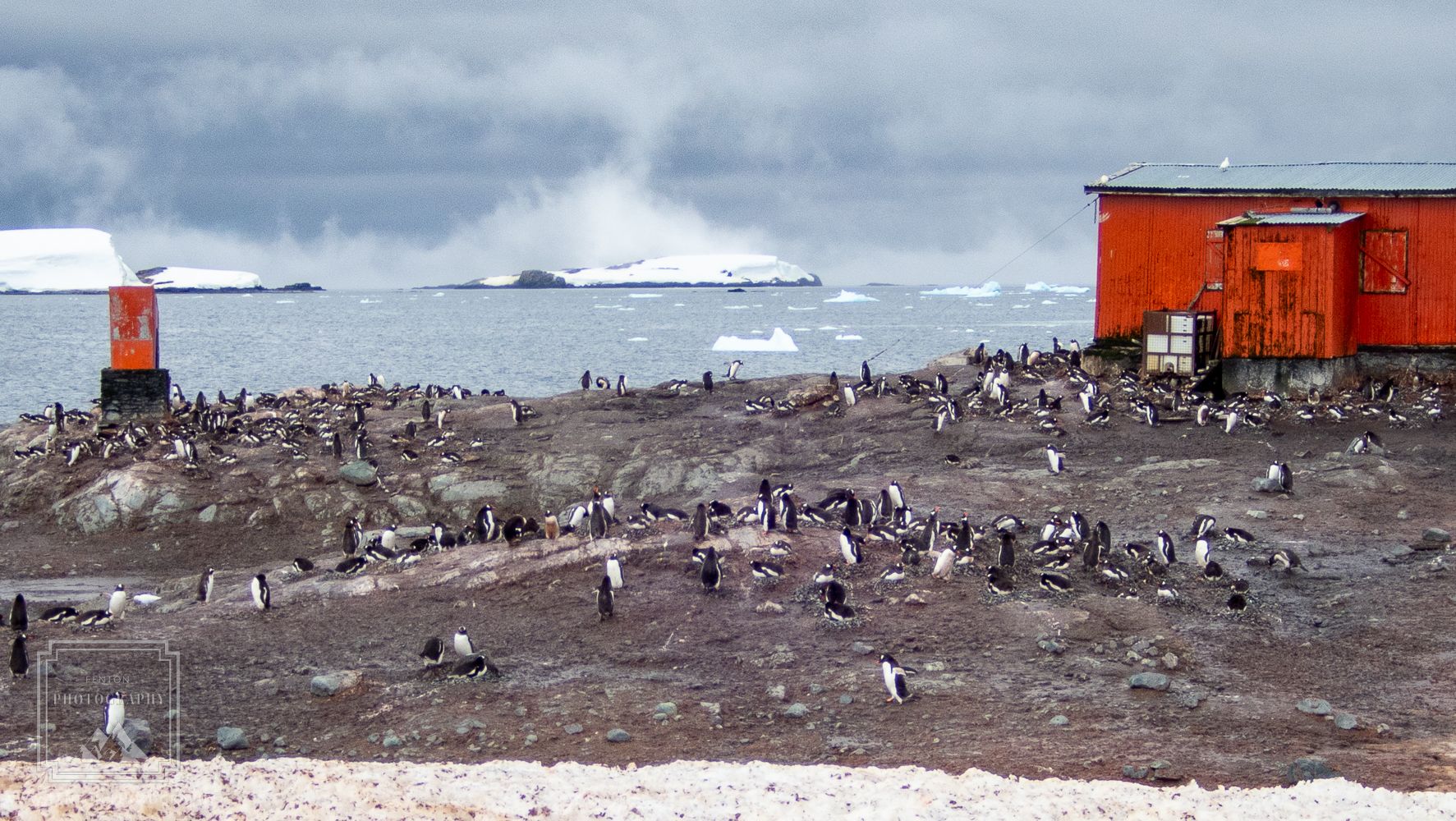 Mikkelsen Harbor, Antarctica