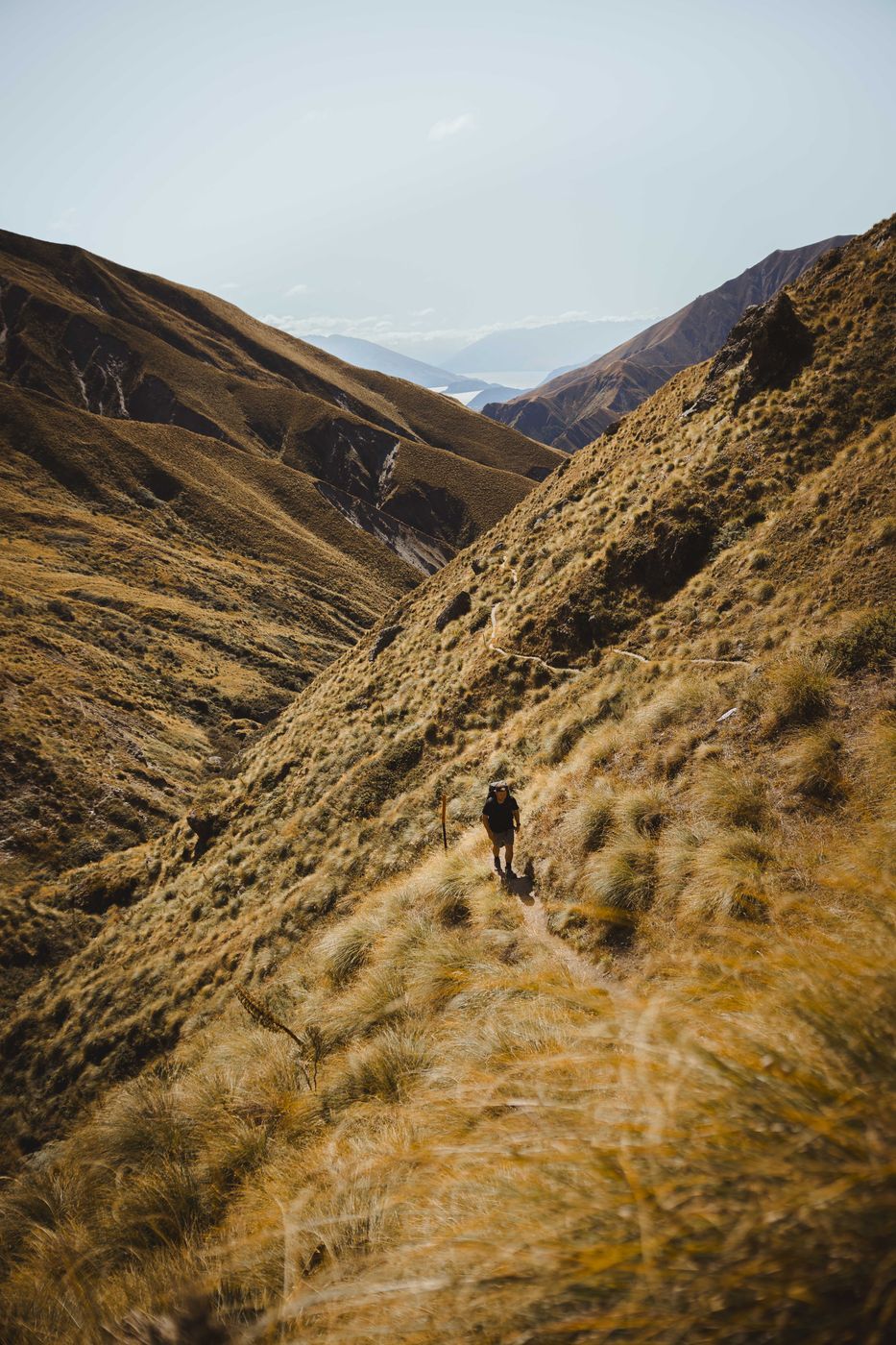 Motatapu Track, New Zealand