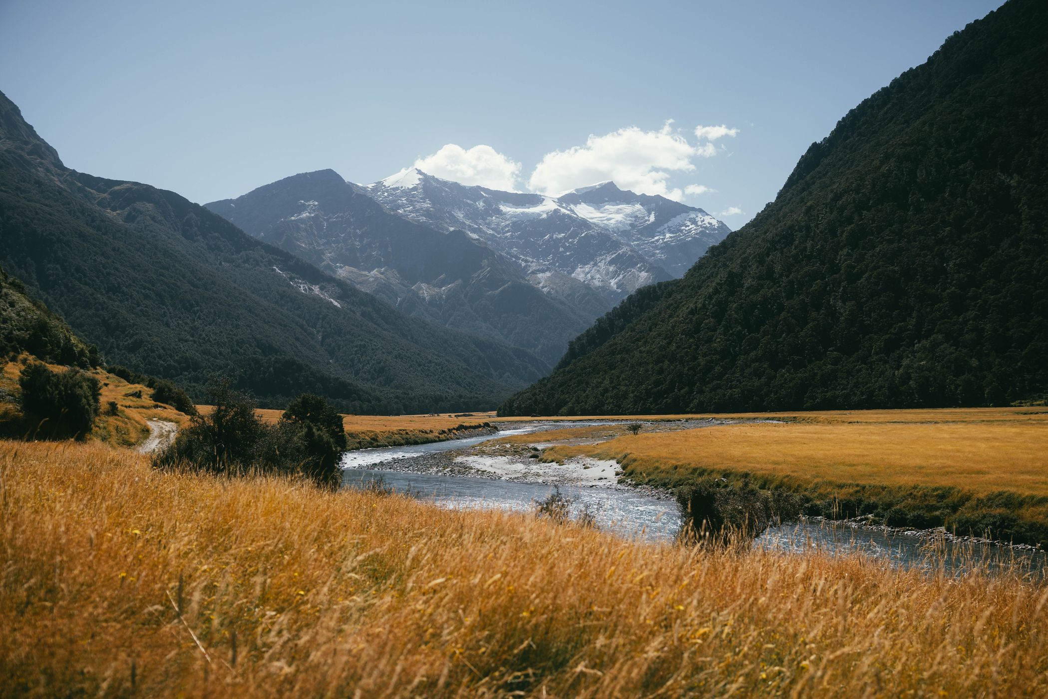 Mount Aspiring valley from Aspiring Hut Trail, New Zealand