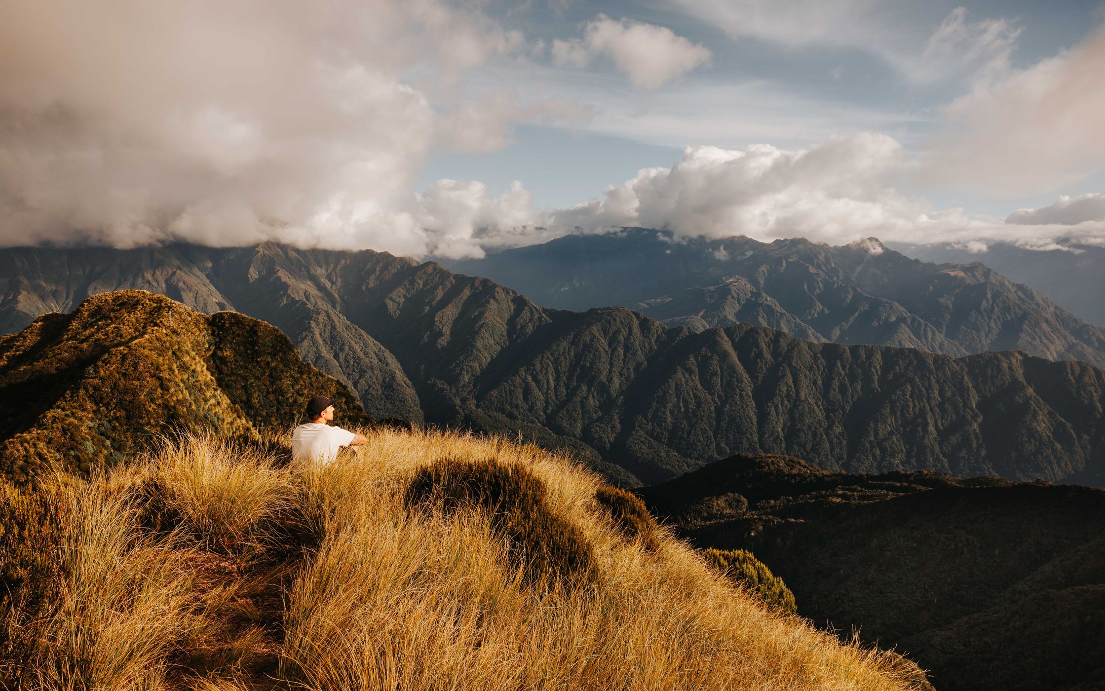 Mount Brown Peak, Lake Kaniere, New Zealand