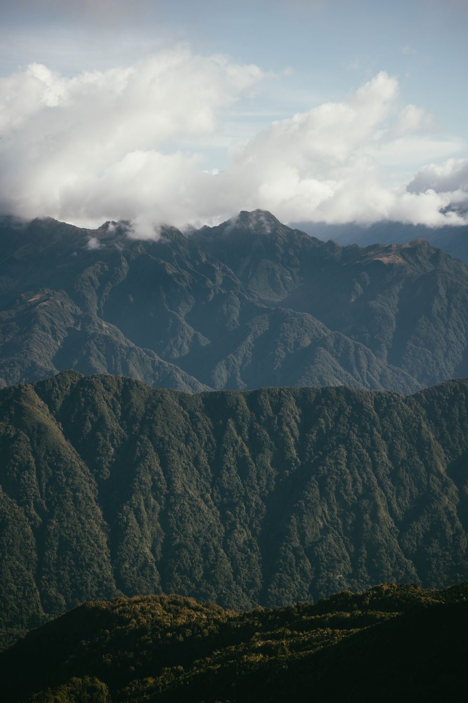Mount Brown Peak, Lake Kaniere, New Zealand