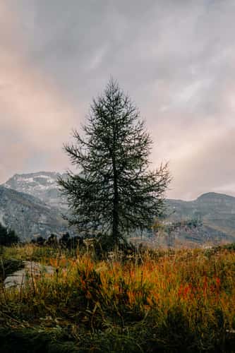 Mountainview near the Maloja Pass