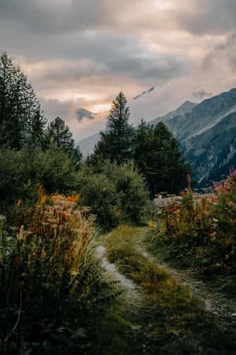 Mountainview near the Maloja Pass
