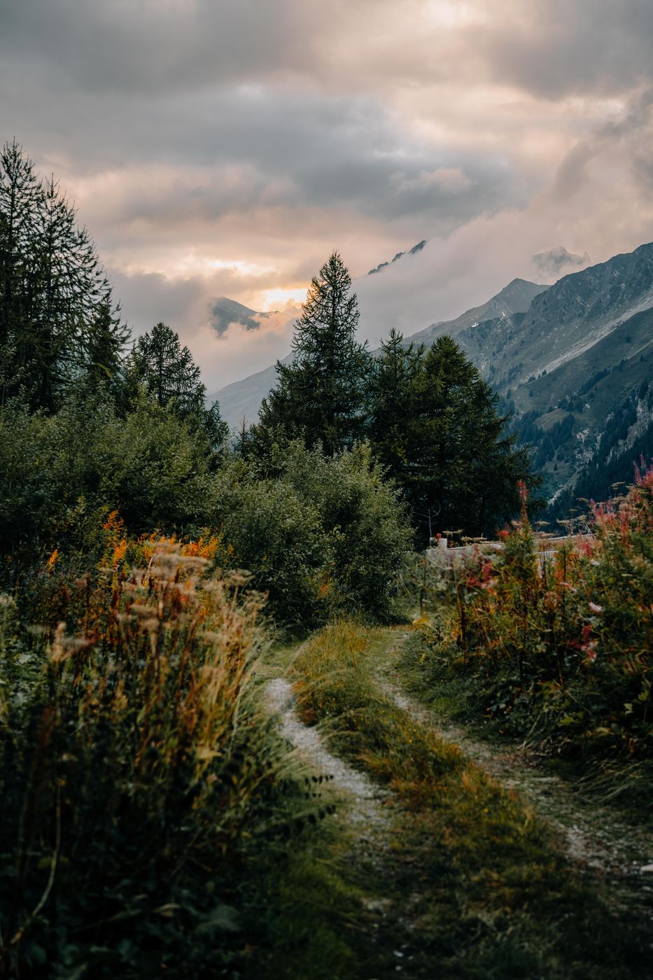 Mountainview near the Maloja Pass, Switzerland