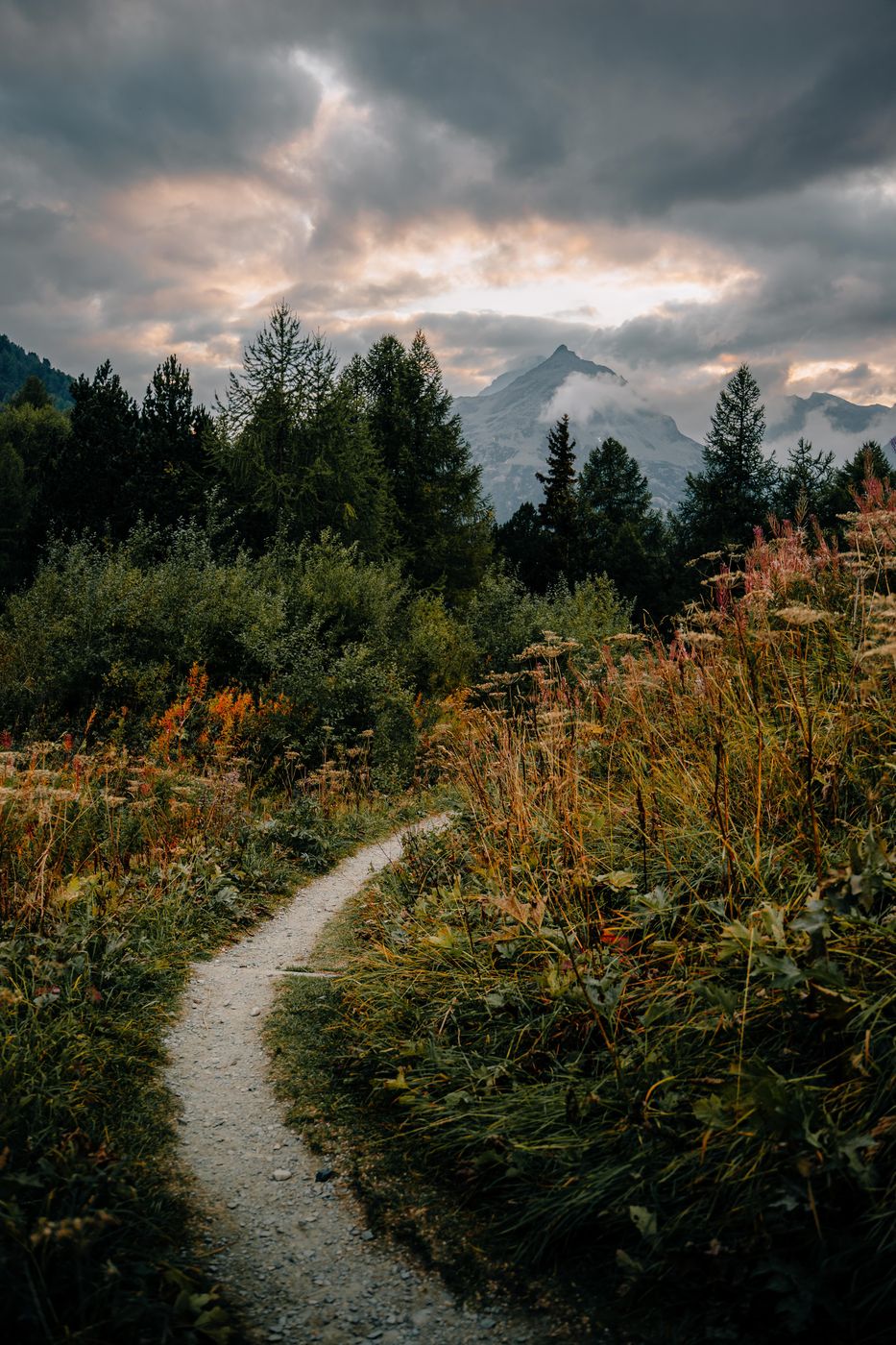 Mountainview near the Maloja Pass, Switzerland