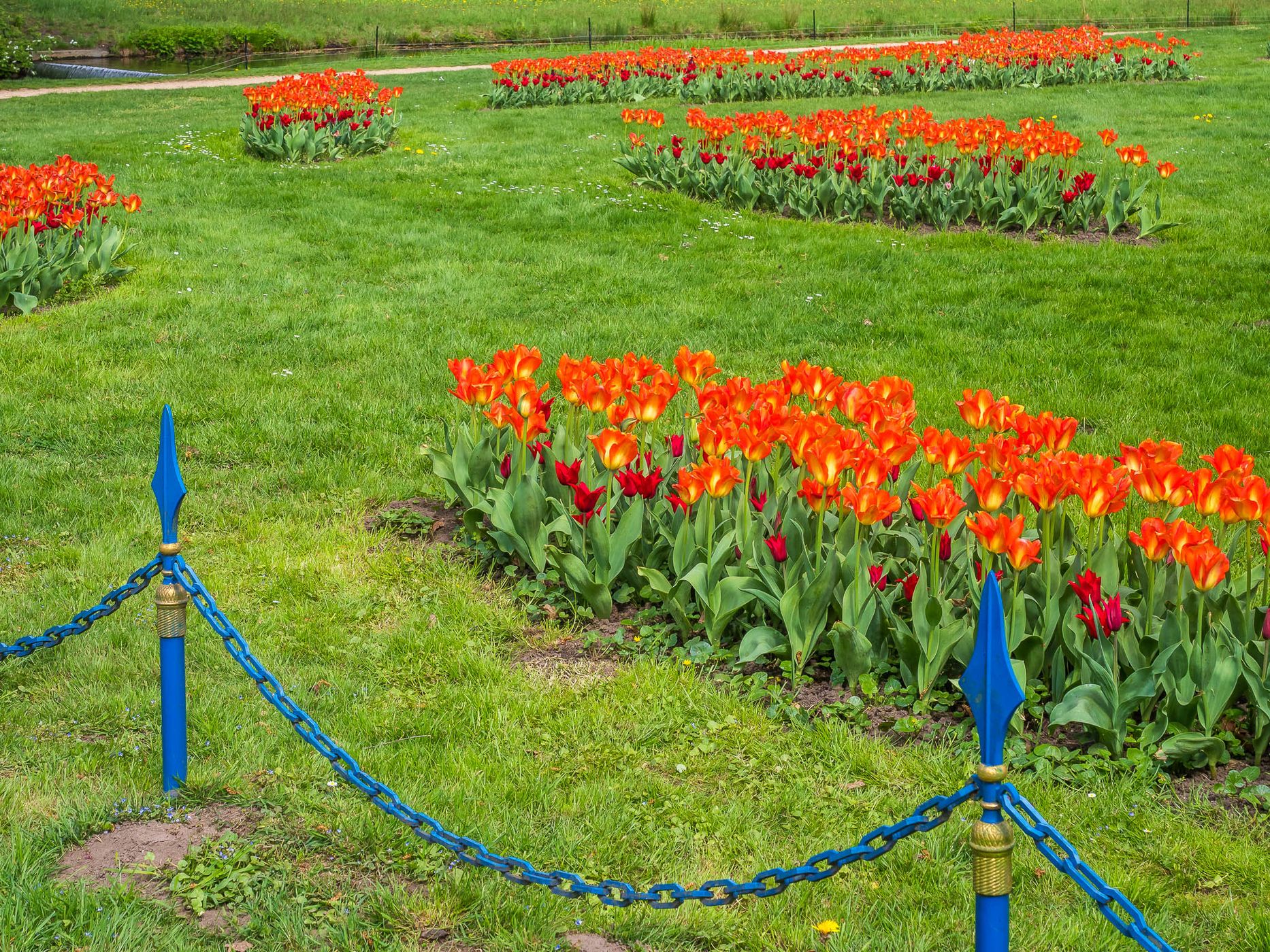 Muskau Park / Fürst Pückler Park, Poland