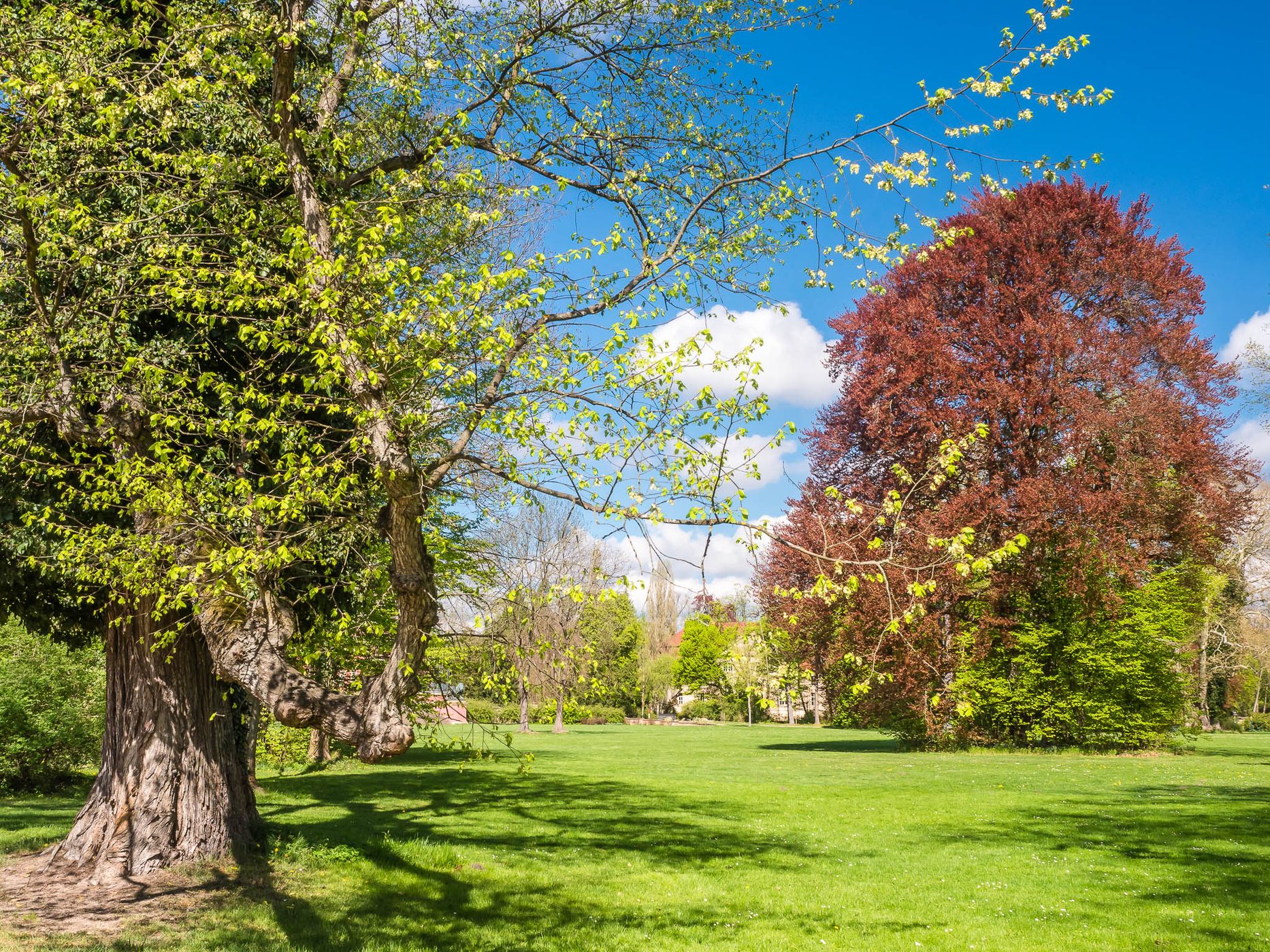 Muskau Park / Fürst Pückler Park, Poland