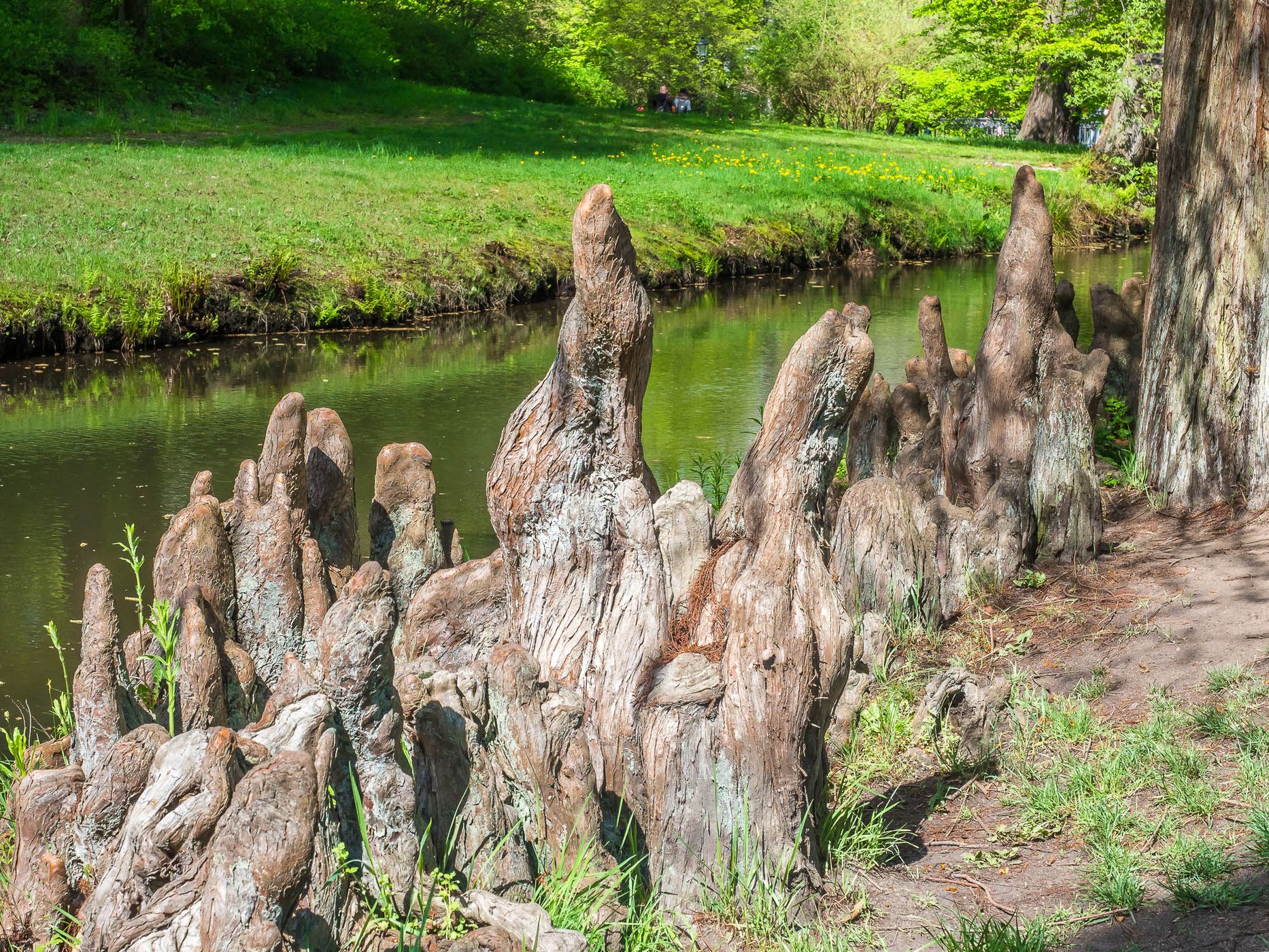 Muskau Park / Fürst Pückler Park, Poland