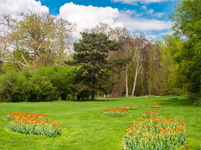 Muskau Park / Fürst Pückler Park