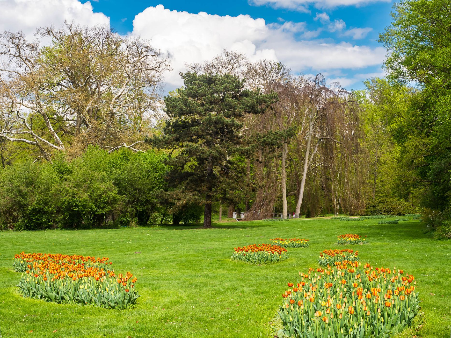 Muskau Park / Fürst Pückler Park, Poland