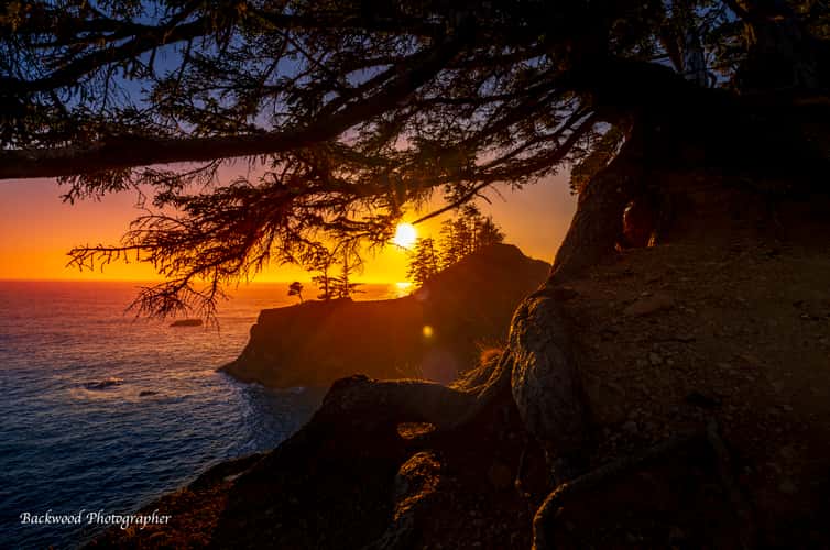 Natural Bridges