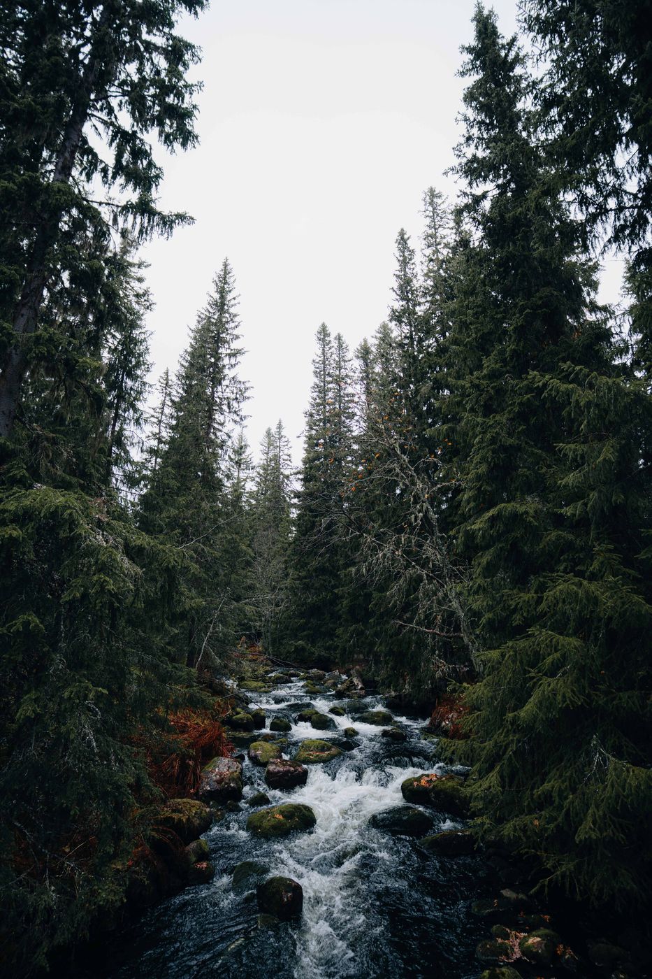 Njupesskär Waterfall, Fulufjället National Park, Sweden