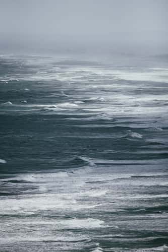 Ocean view at Te Henga Walkway, West Coast North Island