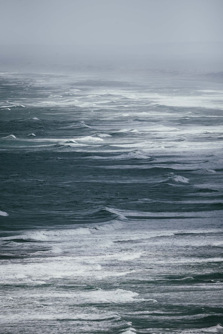 Ocean view at Te Henga Walkway, West Coast North Island, New Zealand