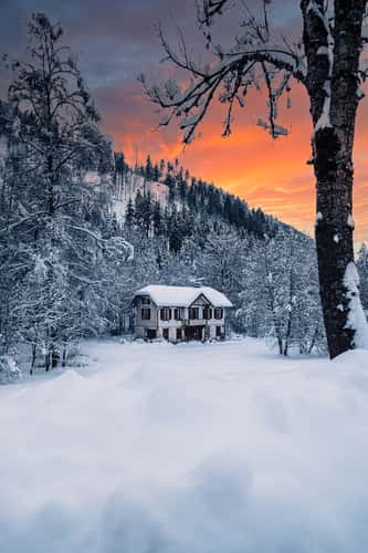 Old Black Forestal House