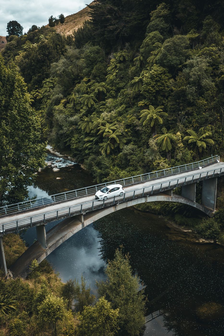 Old bridge, Mangawhero River, New Zealand