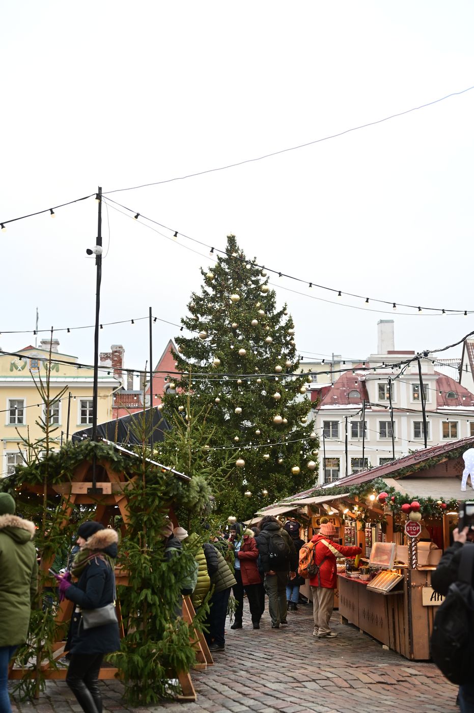Old Town Of Tallinn (Christmas market), Estonia