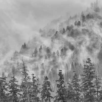 Olympic Mountain Viewpoint @ Hoh River, USA