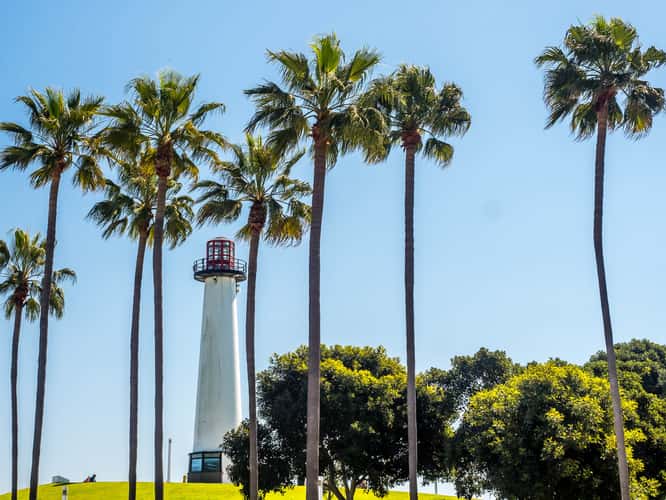 Palm Tree & Lighthouse Sunrise Long Beach California