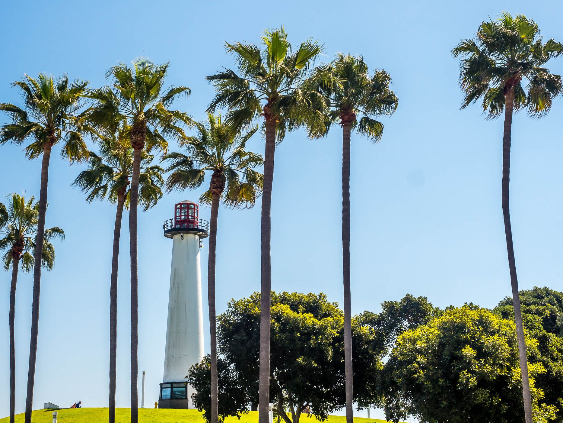 Palm Tree & Lighthouse Sunrise Long Beach California, USA