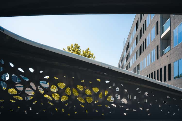 Parkbrug