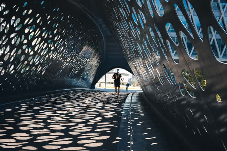 Parkbrug