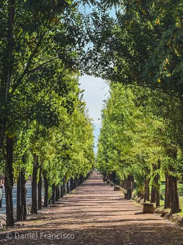 Parque General San Martin