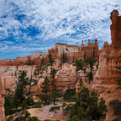 Peekaboo Trail, Bryce Canyon, USA
