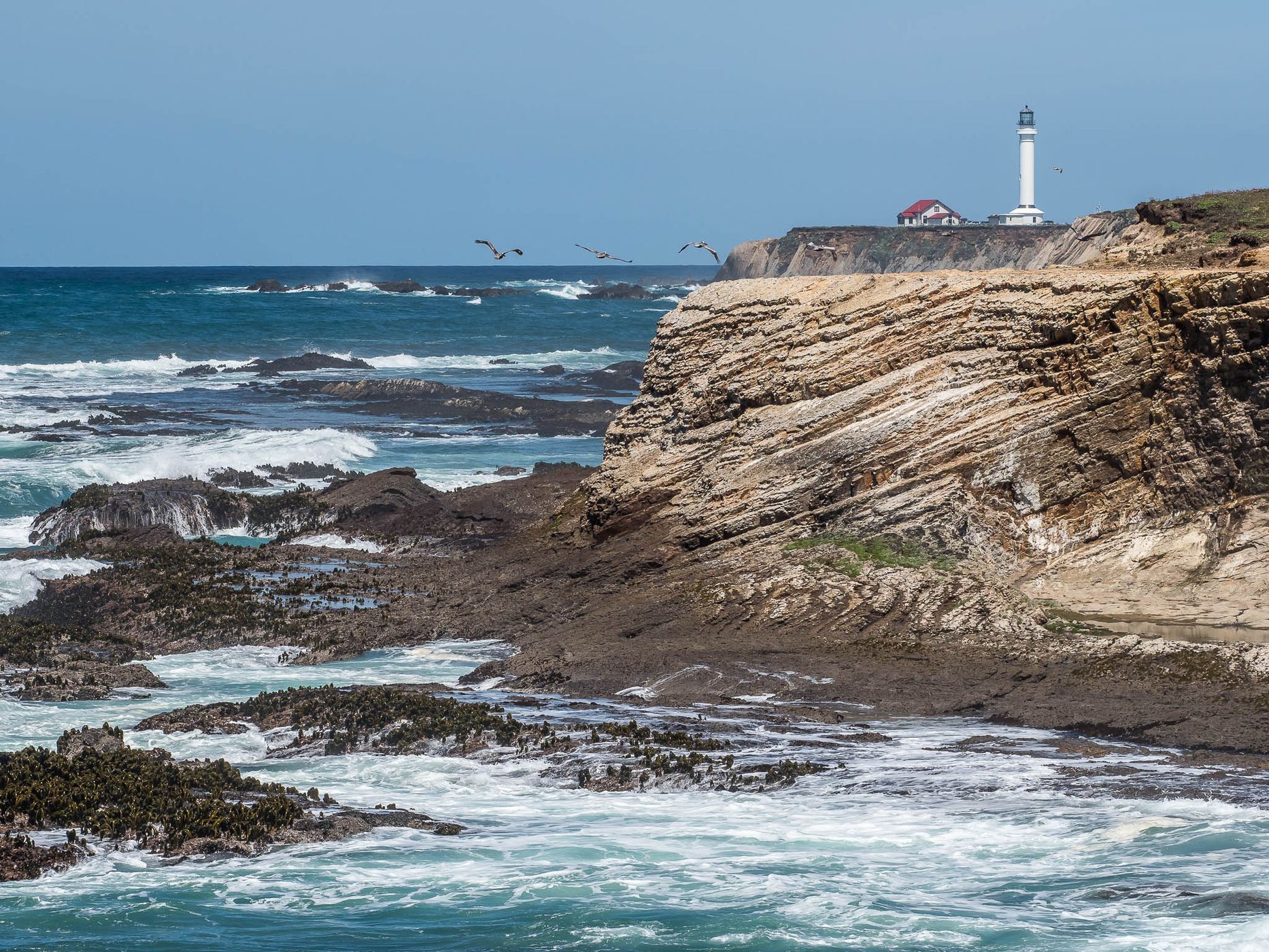 Point Arena Light, USA