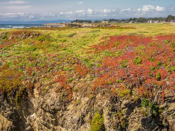 Point Cabrillo Light Station