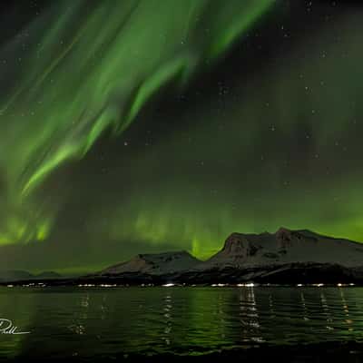 Polarlicht über Bergen und Fjord in der Region Tromsø, Norway