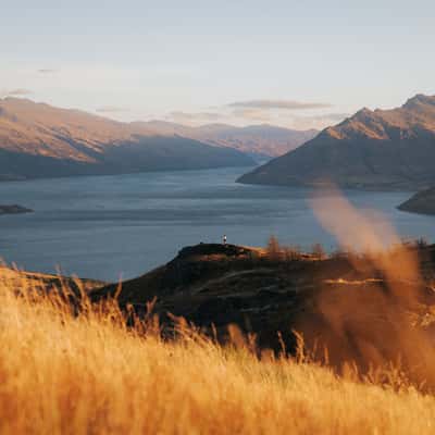 Queenstown hill, New Zealand