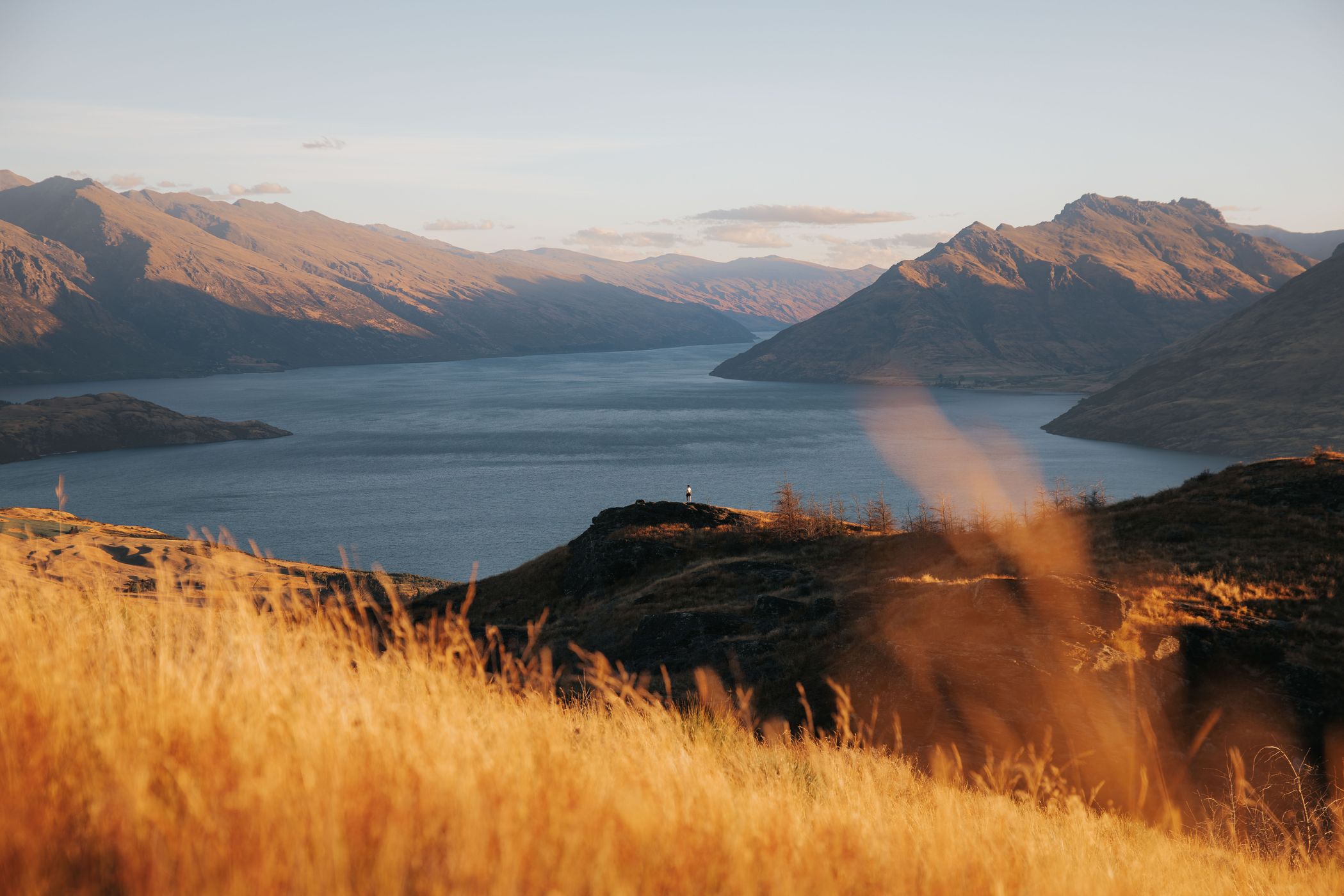 Queenstown hill, New Zealand