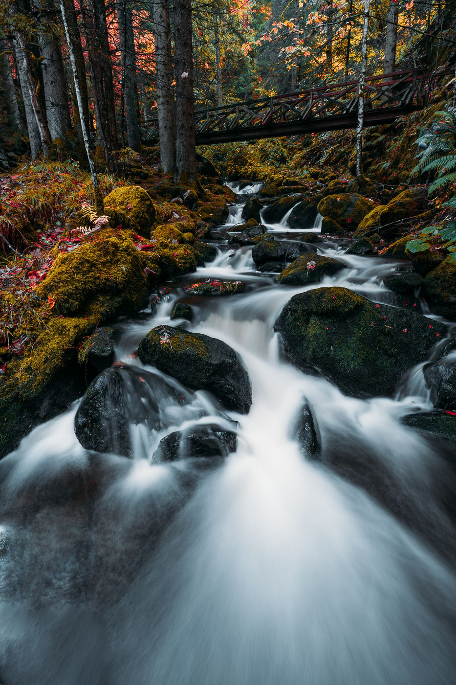 Ravennaschlucht, Black Forest, Germany