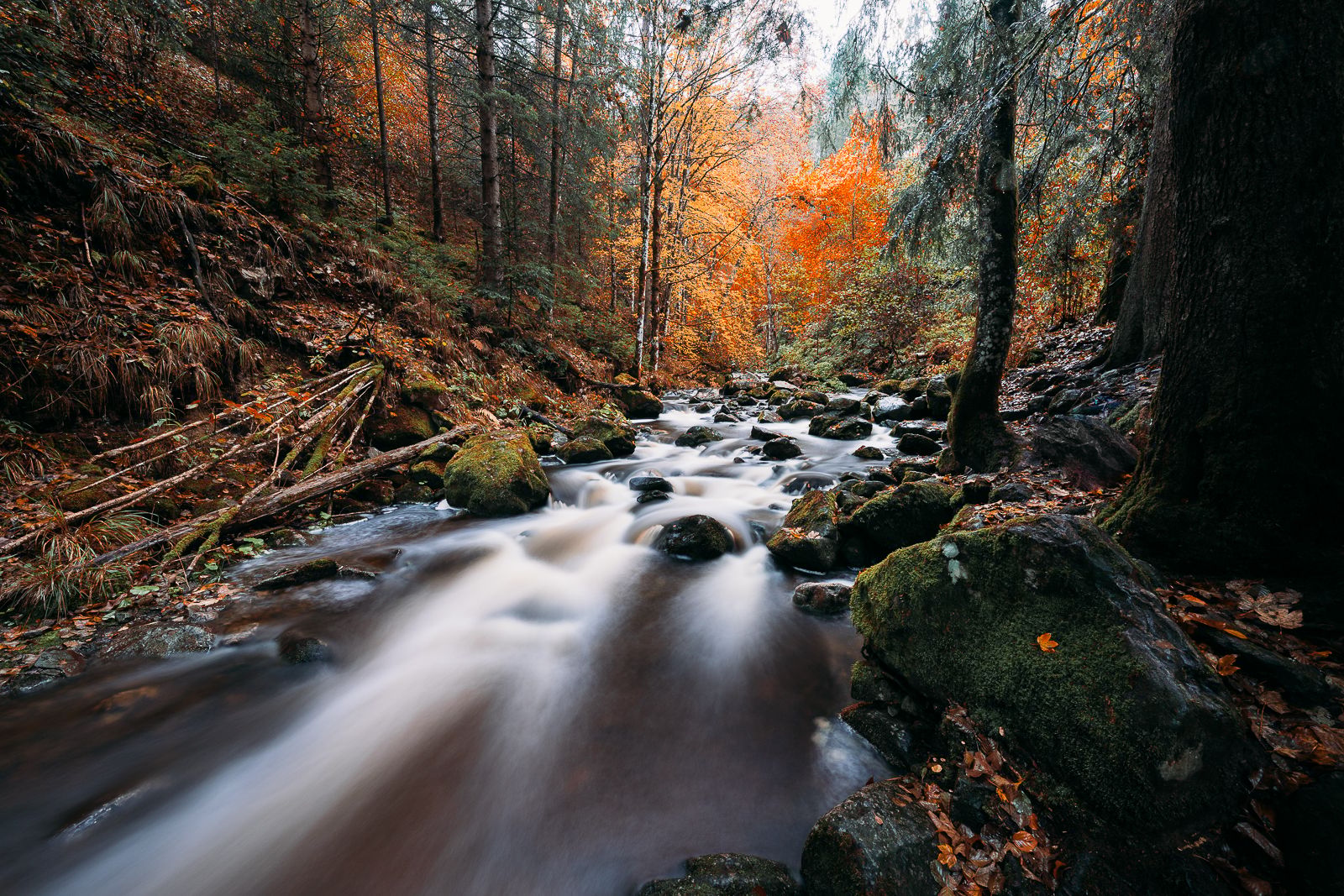 Ravennaschlucht, Black Forest, Germany