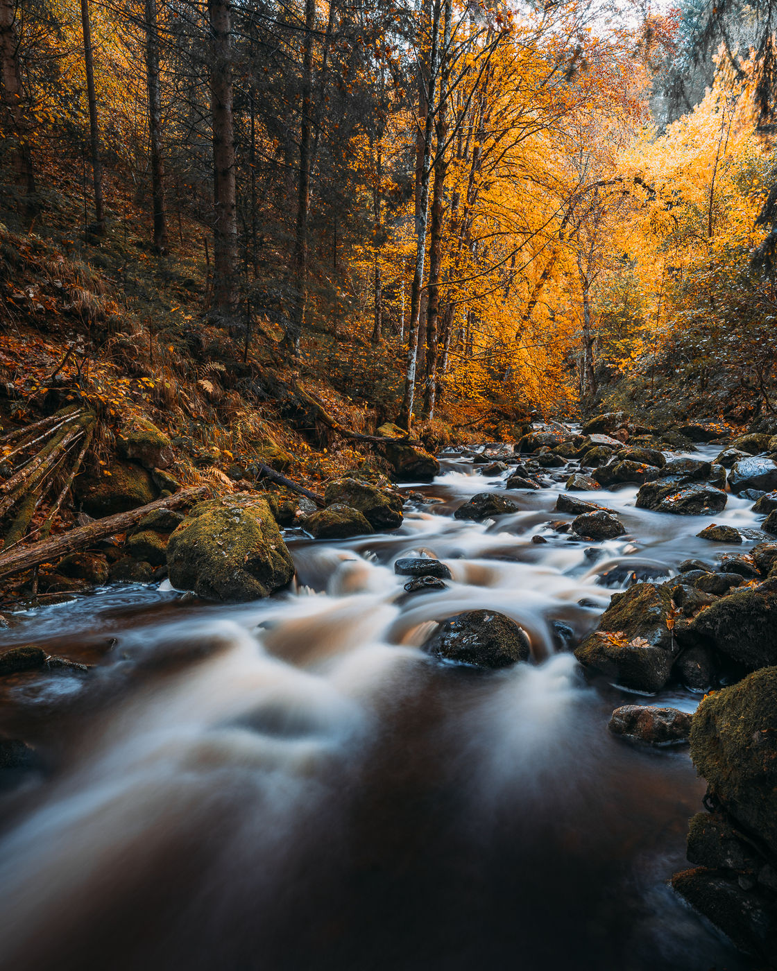Ravennaschlucht, Black Forest, Germany