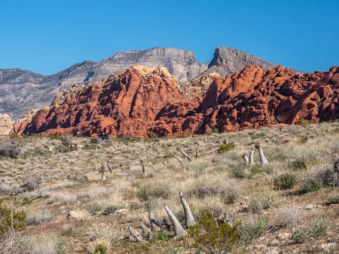 Red Rock Canyon Calico 1