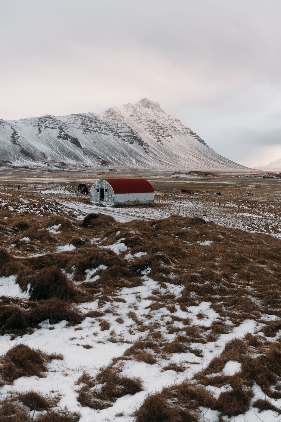 Red Roofed Stable, Iceland