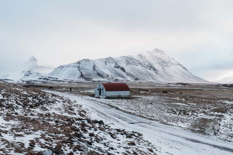 Red Roofed Stable