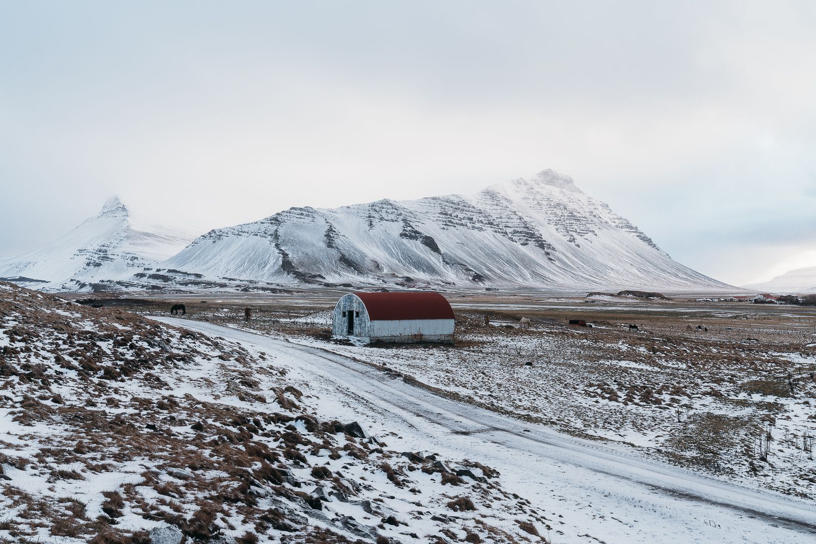 Red Roofed Stable, Iceland