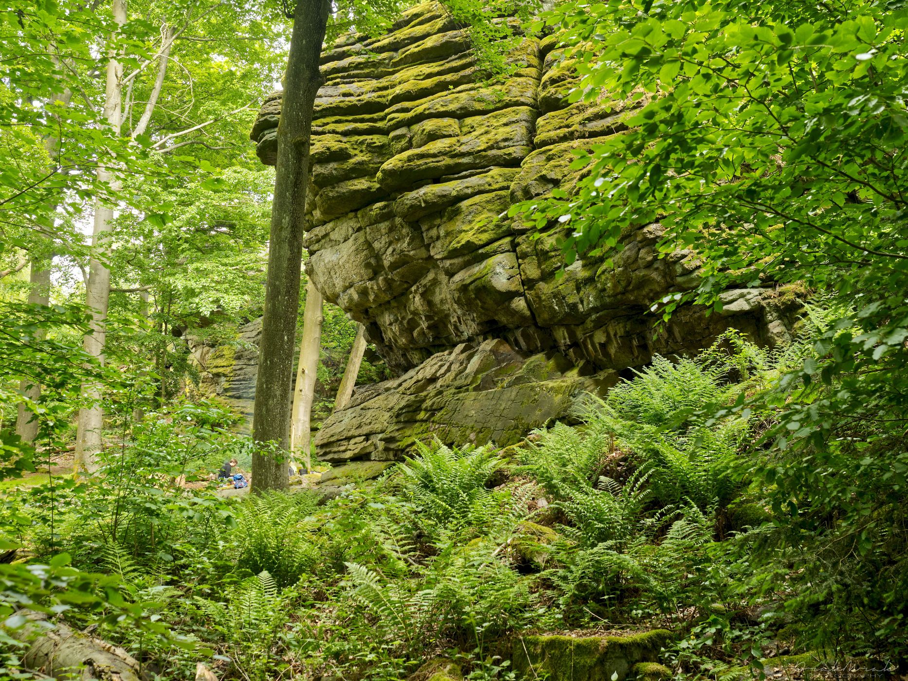 Rock town on Choustník hill, Czech Republic