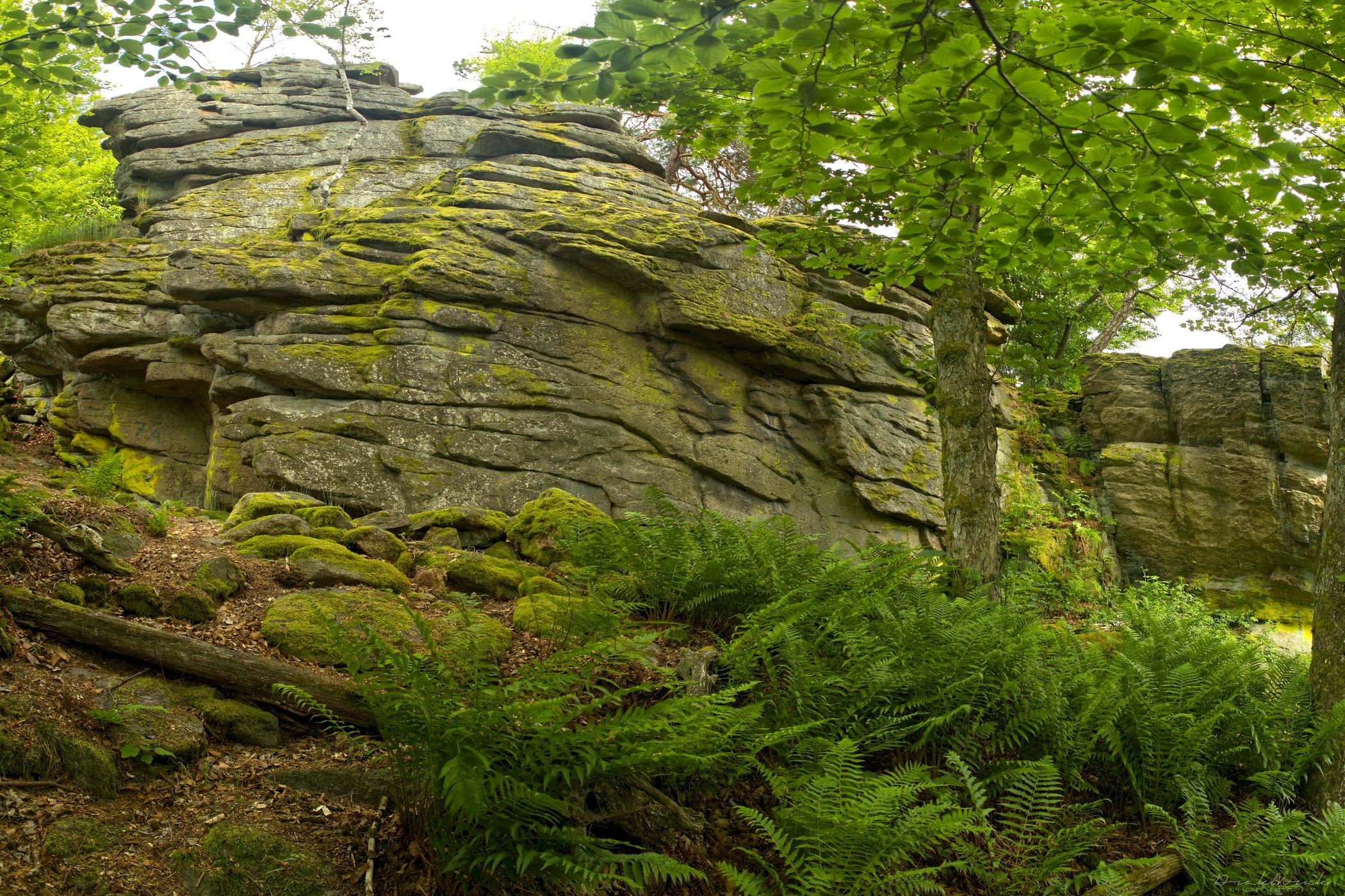 Rock town on Choustník hill, Czech Republic