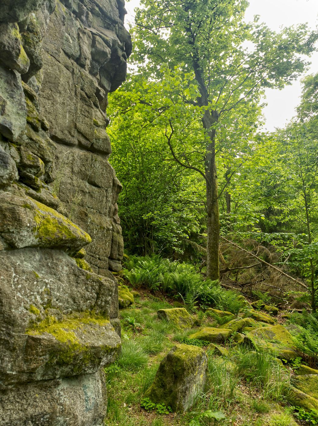 Rock town on Choustník hill, Czech Republic