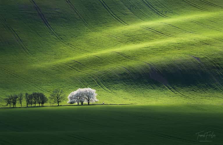 Rolling hills, Moravia